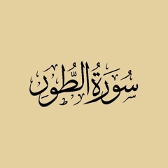 سورة الطور من صلاة التهجد ليلة 25 رمضان لعام 1441- مصطفى عبدالناصر