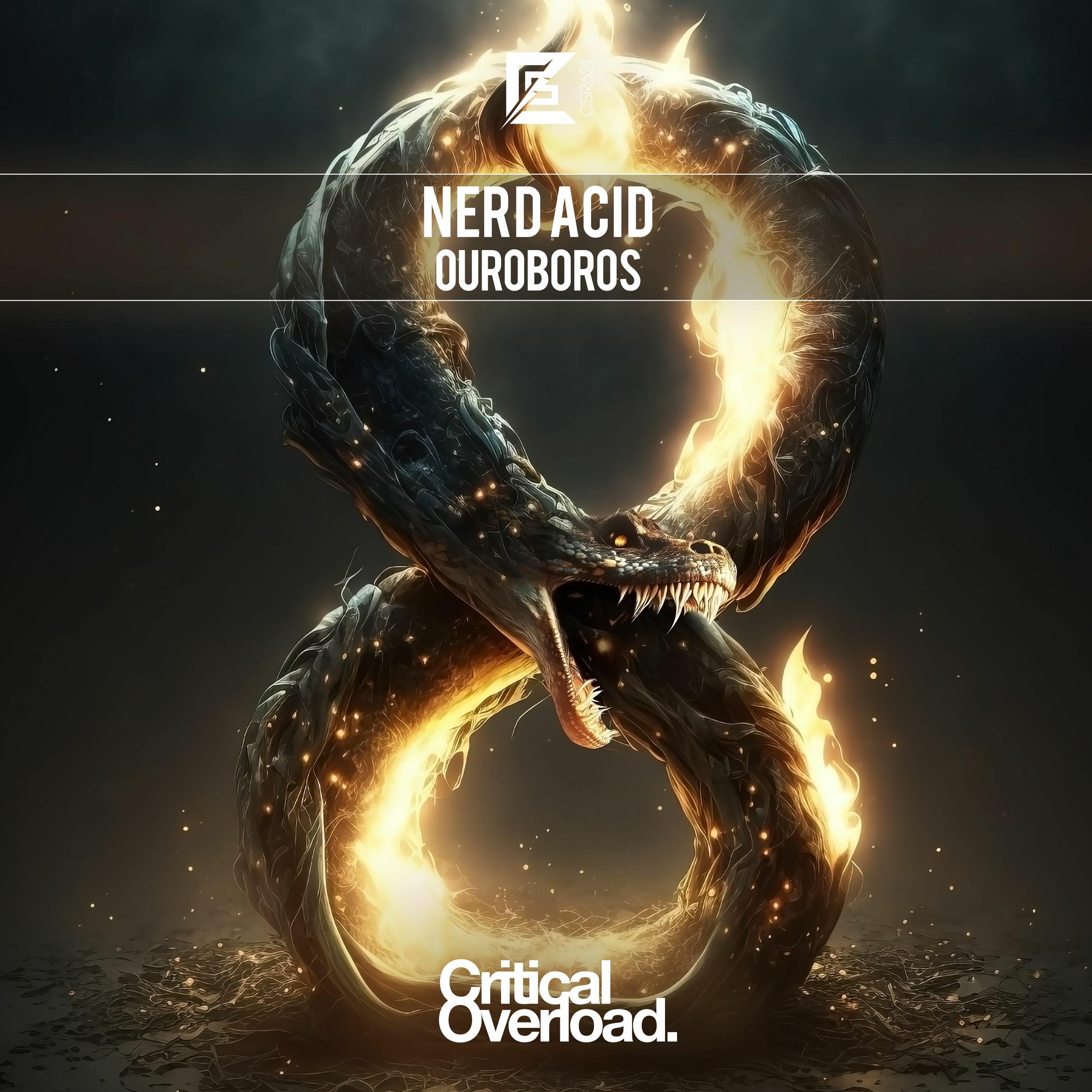 Nerd Acid - Ouroboros episode artwork
