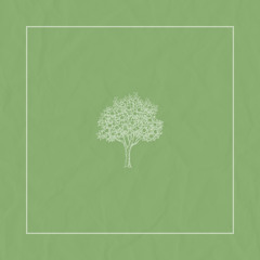 peach tree