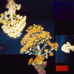 Wake Me When It's Over