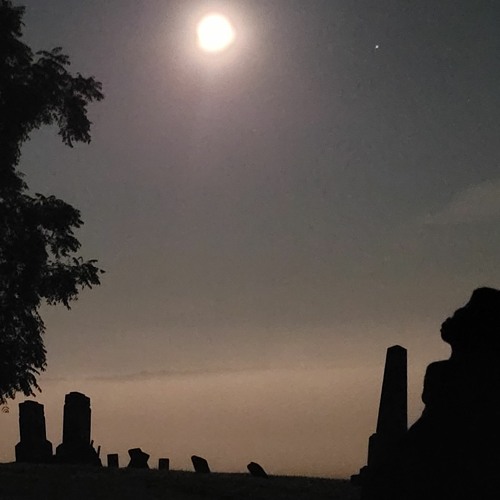 Strings And Bells And Hums, Oh My