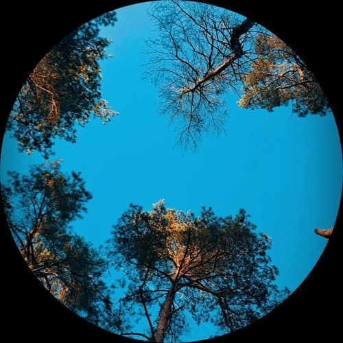 23SHAYATIN & TOEBAK - LOST NOT FOUND