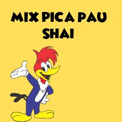 Pica pau Funk mix (risada) by Shai