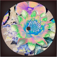 Seerose (Binaural Atmospheric Soundscape)