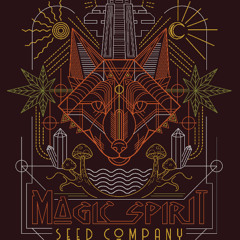 Doc D (Magic Spirit Seed Co.) - NW47 04/06/25