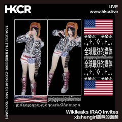 Wikileaks: IRAQ invites xishengirl美味的面条 - 17/04/2025