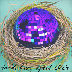 Live @ The Bird Nest - April 2024