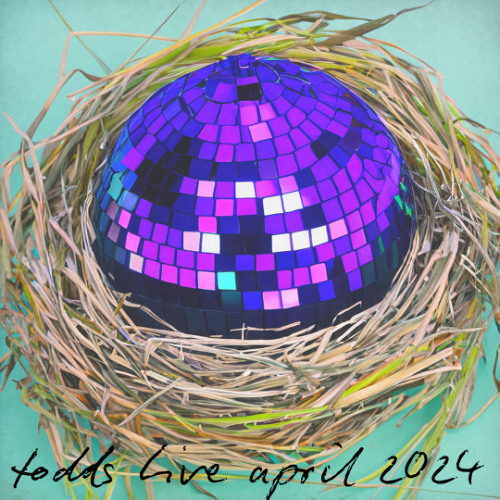 DREW TODD Live Set @ Bird Nest 2024