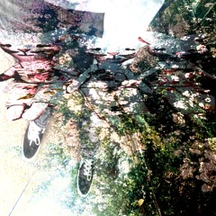 whrismyrzr ‎ ‎ ‎ ‎ ‎ ‎ ‎ ‎ ‎ ‎ ‎ ‎ ‎ ‎ ‎ ‎ ‎ ‎ ‎ ‎ ‎ ‎ ‎ ‎ ‎ ‎ ‎ ‎ ‎ ‎ ‎ ‎ ‎ ‎ mortem