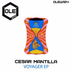 Cesar Mantilla - Voyager Snippet