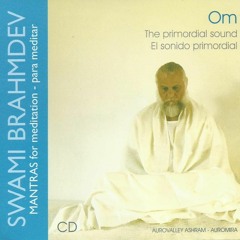 Swami Brahmdev OM Meditation