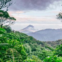 Monte Verde