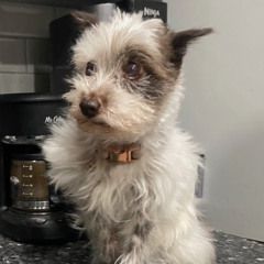 Outer Space In G# Major