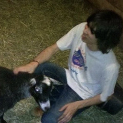 alex g animals [live]