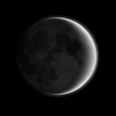 Drungle Through Time and Space