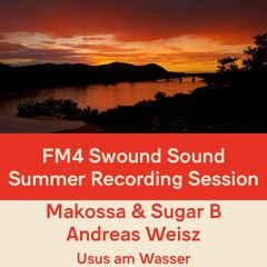 FM4 Swound Sound #1310