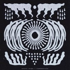neural scape - fundamentals [KV074]