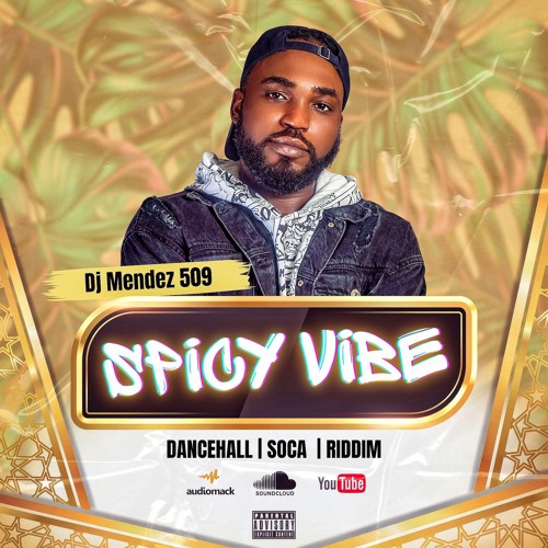 SPICY🌶 VIBE🌶 By DjMendez509, soca, riddim ,Dancehall / 🇭🇹🇯🇲🇱🇨🇧🇸🇧🇧🇬🇾🇹🇹 ☆☆☆☆☆Mix 2025