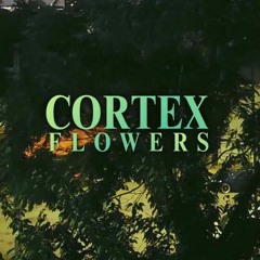 Cortex Flowers (ft Polysix)