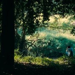 Sound On Screen - Apichatpong Weerasethakul 140122