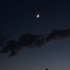 Luna De Cendre ( RAW )