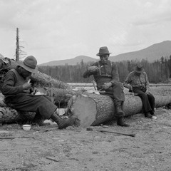 La cuisinière du désert (maquette @Local Tree)