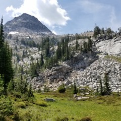 Bioluminescent Cumulonimbus
