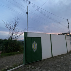 Sou louco sou demente - canções de tfm