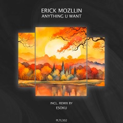 Erick Mozllin - Anything You Want (Esoku Remix)
