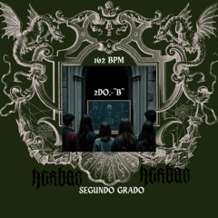 SEGUNDO GRADO