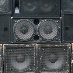 𝚁𝚊𝚟𝚎 𝚂𝚢𝚜𝚝𝚎𝚖 𝙾𝚟𝚎𝚛𝚛𝚒𝚍𝚎