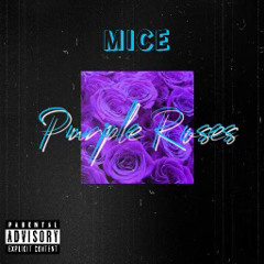 Purple Roses