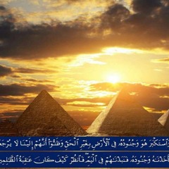 سورة القصص | الشيخ مشاري راشد العفاسي - Surat Al-Qasas | Mishary Rashed Alafasy