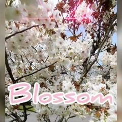 Blossom #dancing #popmusic #dance #flowers #rave #tree #dancer #dodo #cherryblossom #blossom