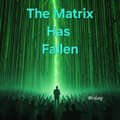 The Matrix Has Fallen