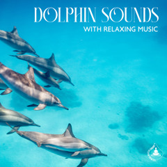 Dolphin Sounds with Relaxing Music