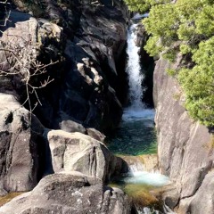 Live at Amor Records 20.03.25 | wax