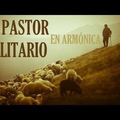 Fondo musical En Armónica El Pastor Solitario