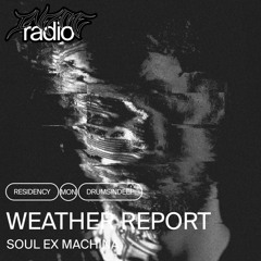 Weather Report - Vol 05