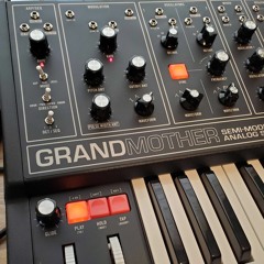 Grandmother Seq Jam