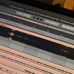 SoDown & Mocha - Everybody Get Down (ECK Rap Flip).wav