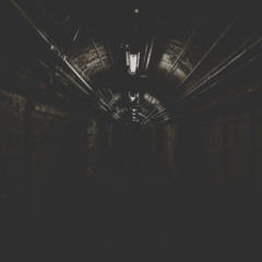 Chronicles of Planetary Liberation: NYC Tunnels