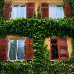 it was the best of times, it was the