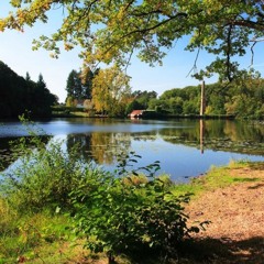 Forêt de Tronçais