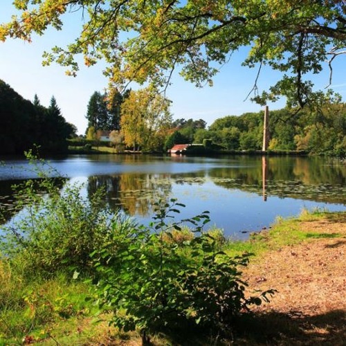 Forêt de Tronçais