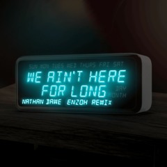 WE AIN'T HERE FOR LONG - (enzoh remix)