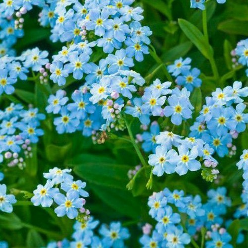 قُلْ أَتُحَاجُّونَنَا فِي اللَّهِ وَهُوَ رَبُّنَا وَرَبُّكُمْ _تلاوة هادئة للقارئ محمد اللحيدان