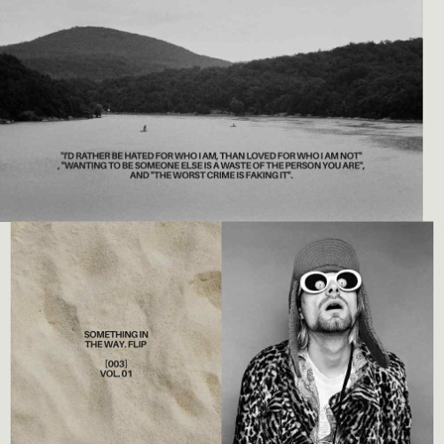 nirvana-SOMETHING IN THE WAY FLIP.