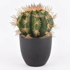 Mein Kleiner Grüner Kaktus(Techno Remix)