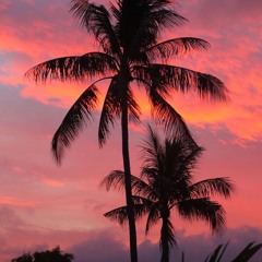 🌴